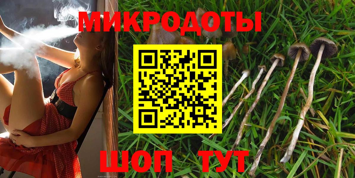 Псилоцибиновые грибы MAGIC MUSHROOMS  Псилоцибиновые грибы Magic Shrooms  Вход с VPN  Сухой Лог 
