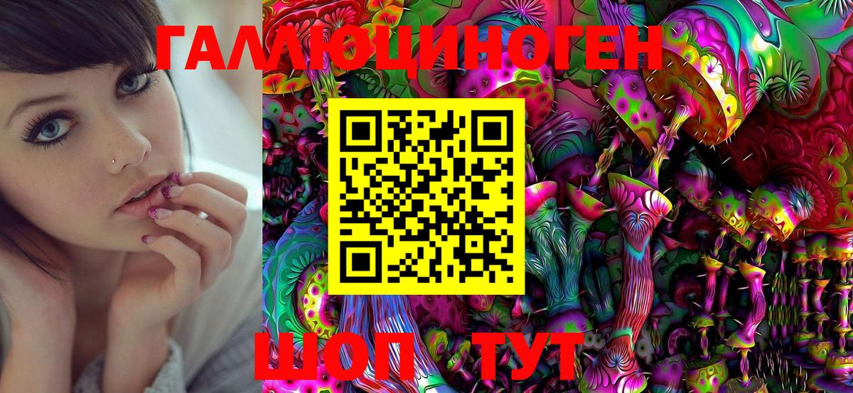 Галлюциногенные грибы Psilocybe Сухой Лог